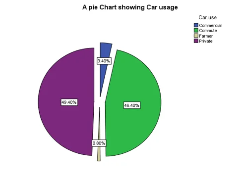 Pie chart showing car usage patterns